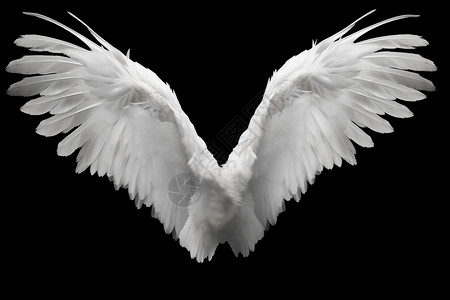 天使羽毛逼真的翅膀设计图片