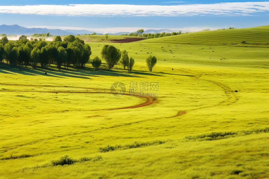 大草原的风景图片