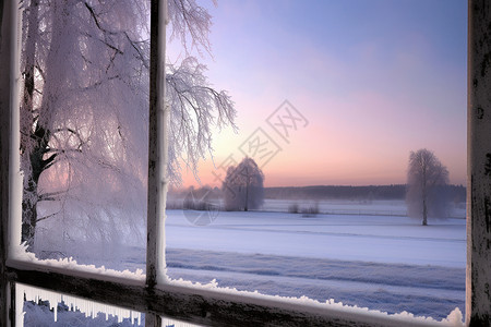 冬季雾凇霜冻自然景观高清图片