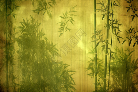 夏季插图夏季森林中的竹海设计图片