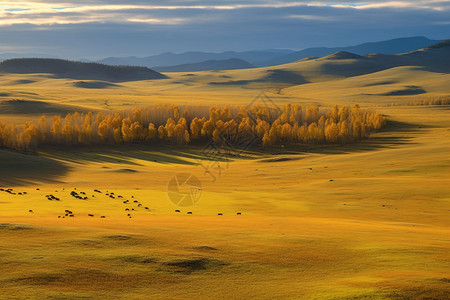 美丽的乌兰布通草原高清图片