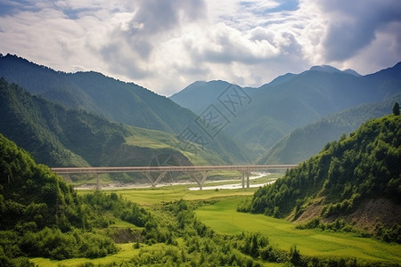 美丽的灌木丛森林背景图片