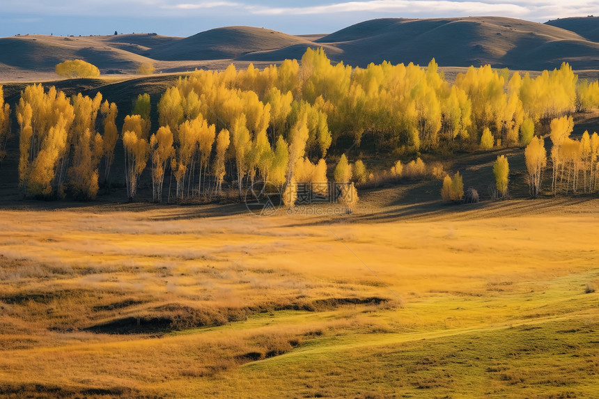 乌兰布通草原的自然景观图片