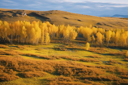 秋天的乌兰布通草原图片