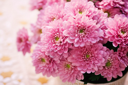 花瓶中的粉红色菊花图片