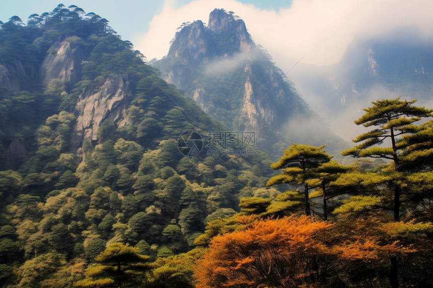 秋天黄山的美丽风景图片