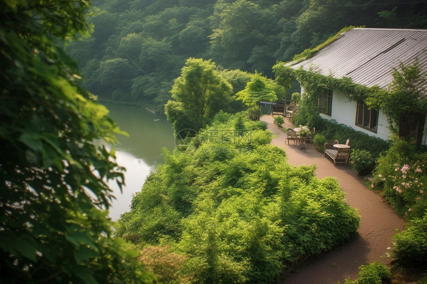 郊区的建筑和绿色的植物图片