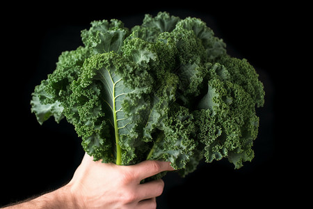 黑色下的绿叶黑色背景下的蔬菜背景
