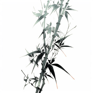 淡雅的水墨画竹子图片
