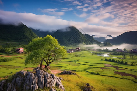 乡村的田野风景图片