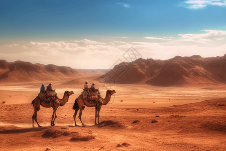 沙漠上的骆驼图片