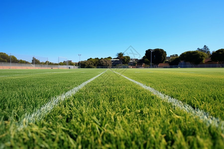 学校的绿色草坪操场背景图片