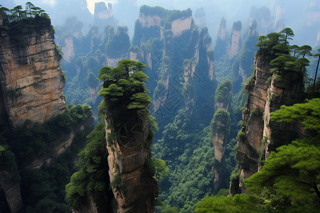 夏天山脉的自然景观图片