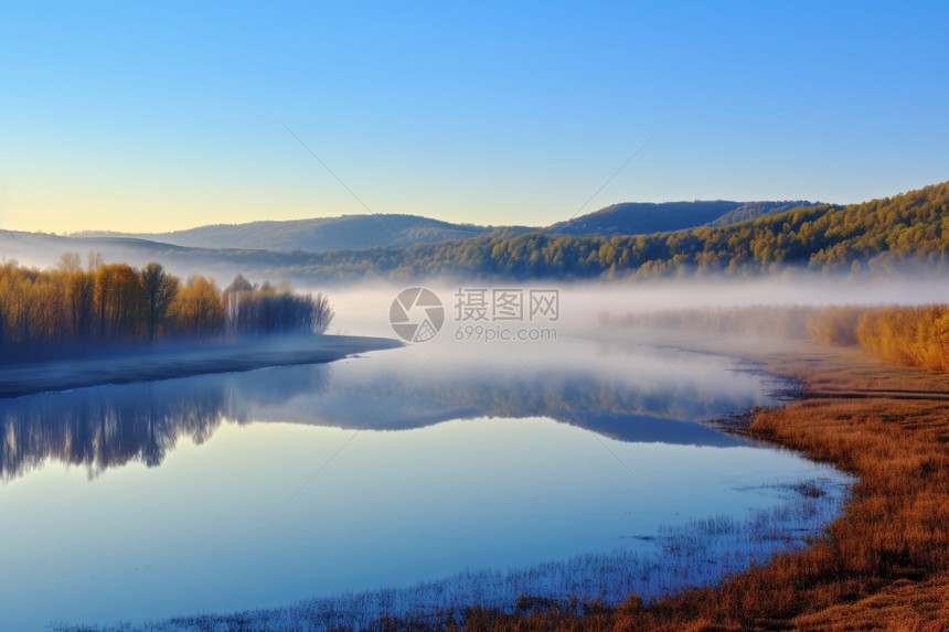 清晨湿地公园的景观图片