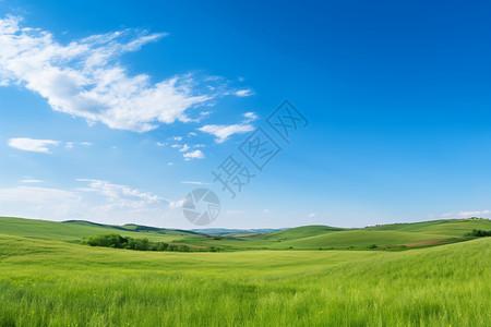 草地麦田元素风景如画的乡村背景