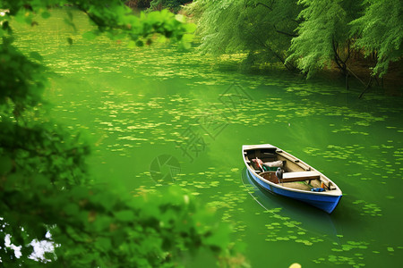 池塘上的一艘小船图片