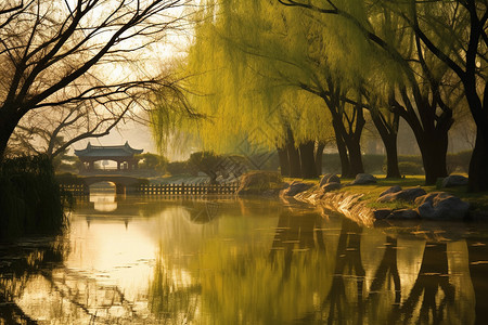 美丽的园林景色图片