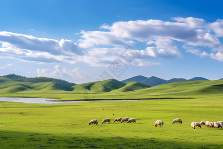内蒙古坝上草原高清图片