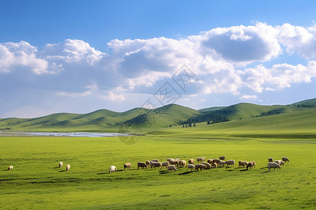 乌兰布通草原旅行高清图片