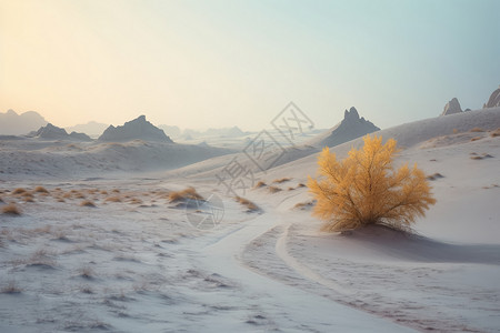 寂静的沙漠寒冷的沙漠高清图片