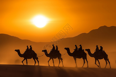 沙漠中的骆驼队伍背景图片