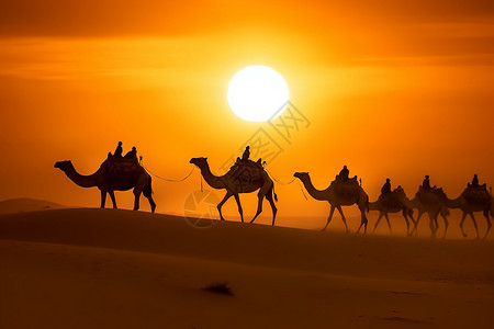 夕阳中穿越沙漠的骆驼群图片