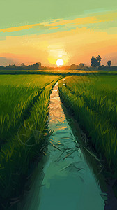 水稻生长落日下的稻田插画