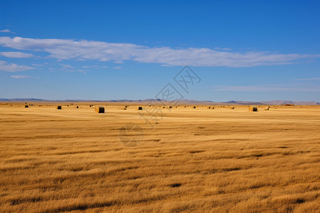 无垠的草原背景图片