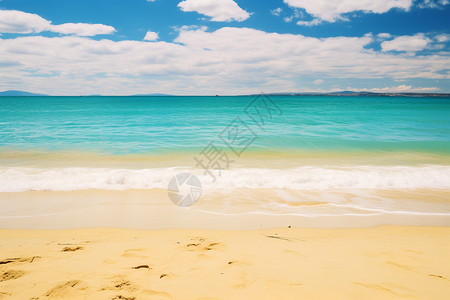 明媚的沙滩图片