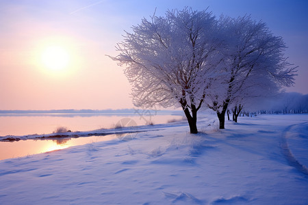 洁白的雪地图片