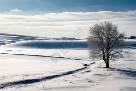 荒芜的雪原背景图片