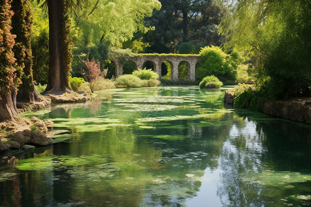 圭塘河清澈的池塘背景