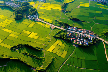 免抠田地广阔的田野背景