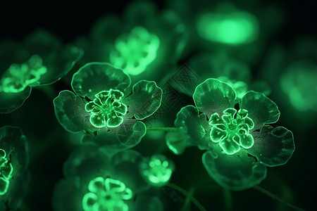 黑色背景下绿色发光的花朵背景图片