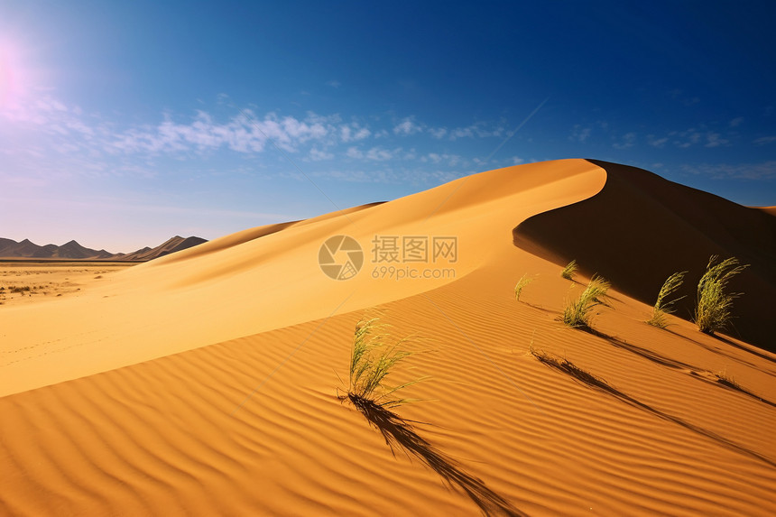 贫瘠的沙丘沙漠图片