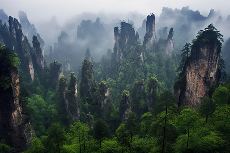 阴雨自然风景背景图片