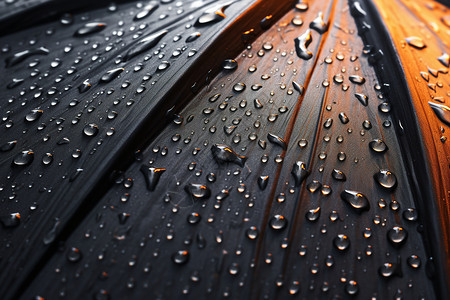 布满雨水的雨伞背景图片