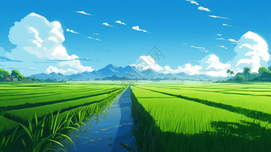晴朗蓝天下的绿色稻田图片