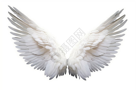 天使羽毛美丽的白色天使翅膀背景