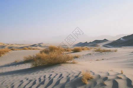 沙漠里的沙子沙丘图片
