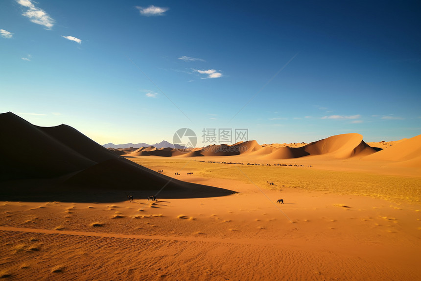 沙漠上的风景图片
