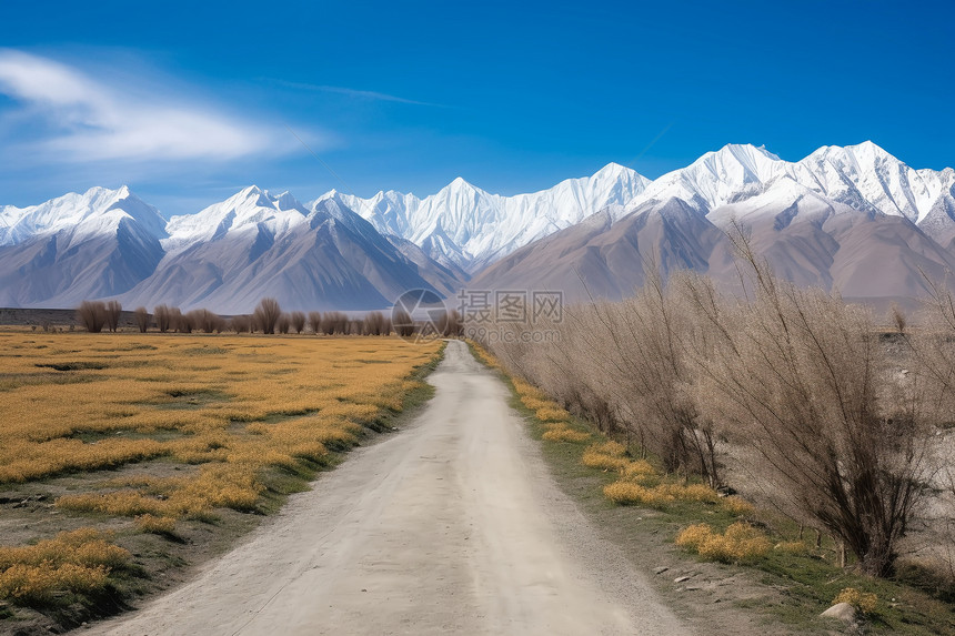 雪山脚下的道路图片