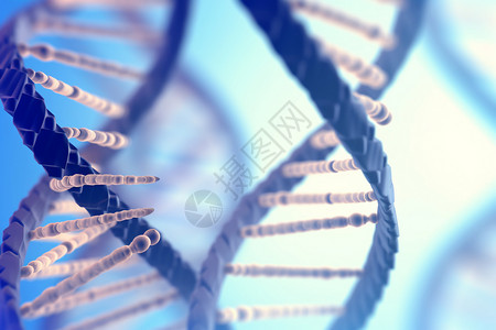 断裂的DNA图片