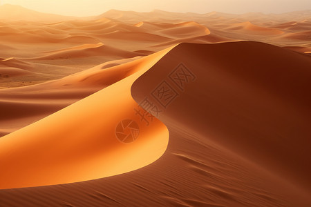 沙丘沙漠波浪图片