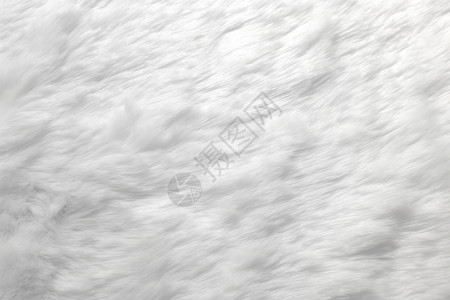 洁白的毛发柔软蓬松的雪高清图片