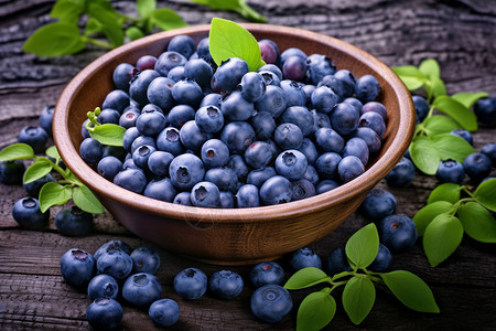 新鲜采摘的蓝莓果背景图片