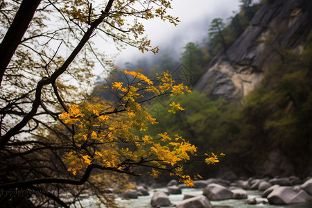 深山处的风景图片