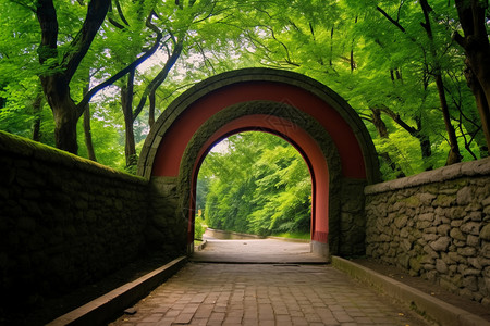 植物铺装素材公园绿色自然树木之间的铺石路背景