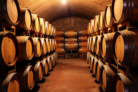 高粱发酵一个存放酒的地窖设计图片