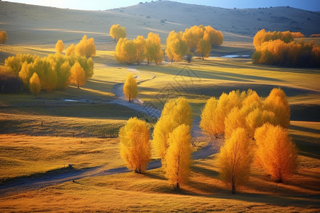 秋天丘陵地带风景背景图片